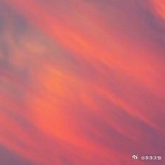 每日一善[超话][比心心]阳光信用 [浪]每日一善[比心心]善良从不是软弱，而是