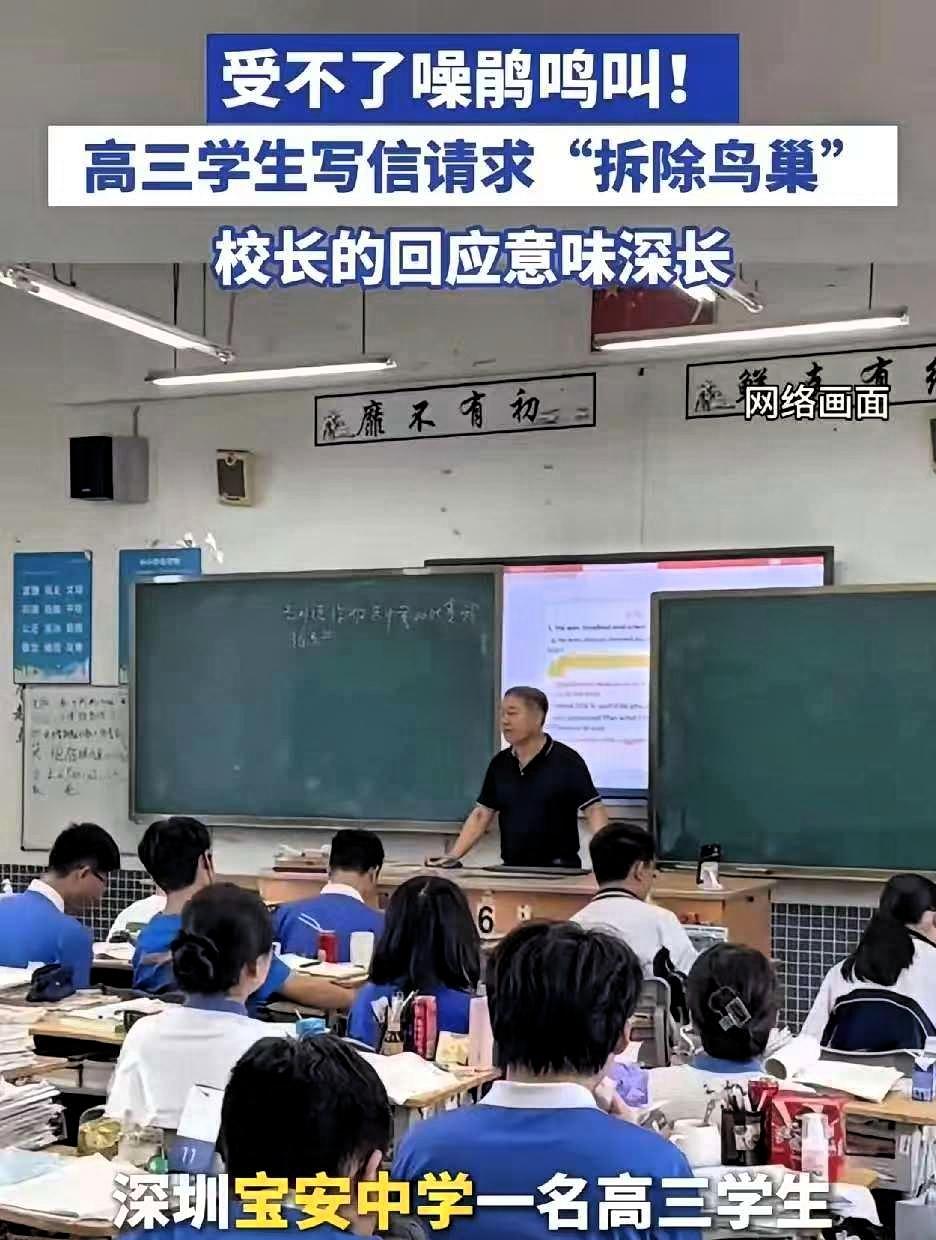 最近，深圳宝安中学有个高三学生，因为学校里的噪鹃鸟整天叫个不停，实在受不了，就写