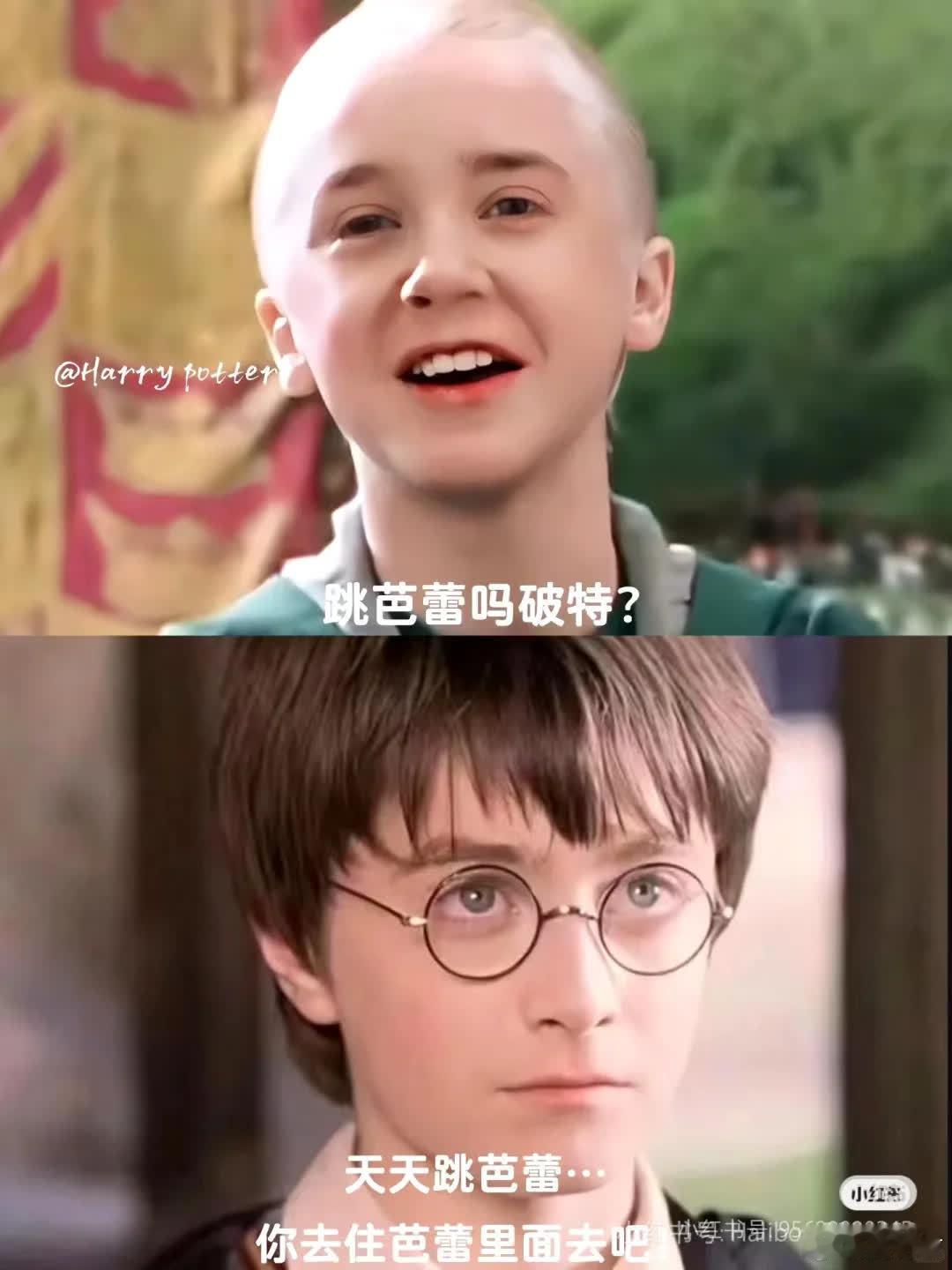 哈迷 哈迷梗图 