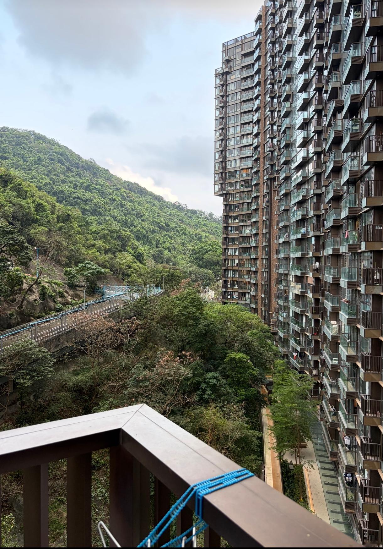 香港寸土寸金，住宿区多高层，有的紧邻着山，坐家望林，满目绿色。像这种三房两厕，交
