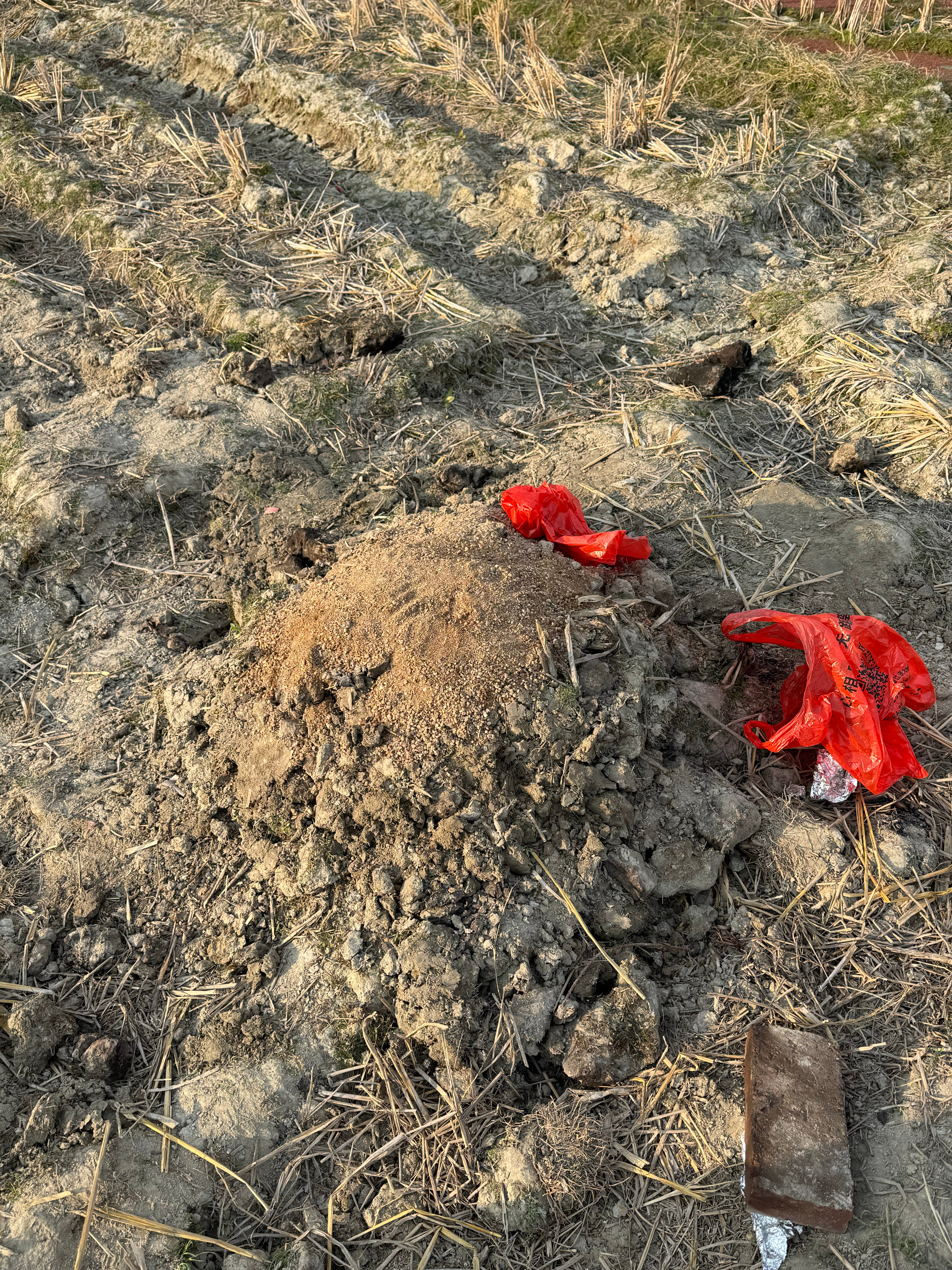 窑鸡已经在焖了，第一次弄，好担心不熟啊