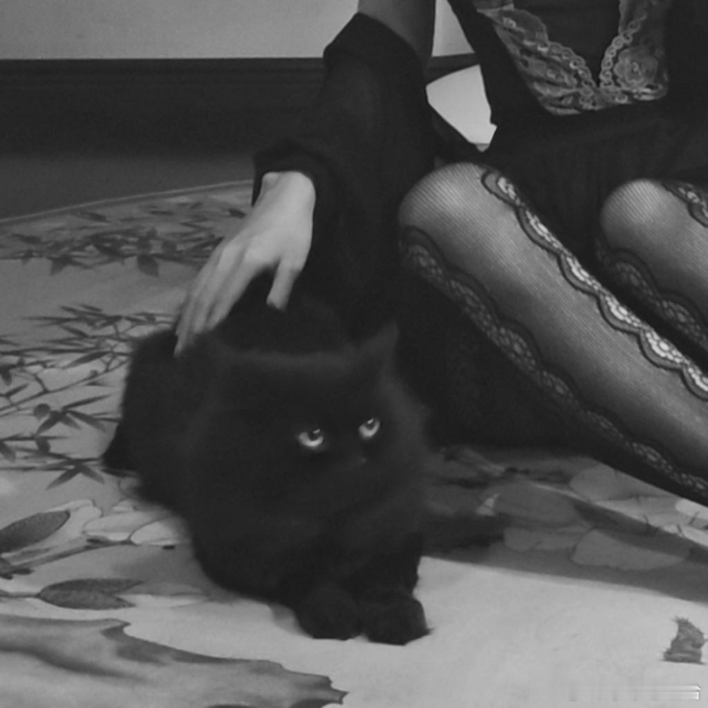 🐈⬛ 