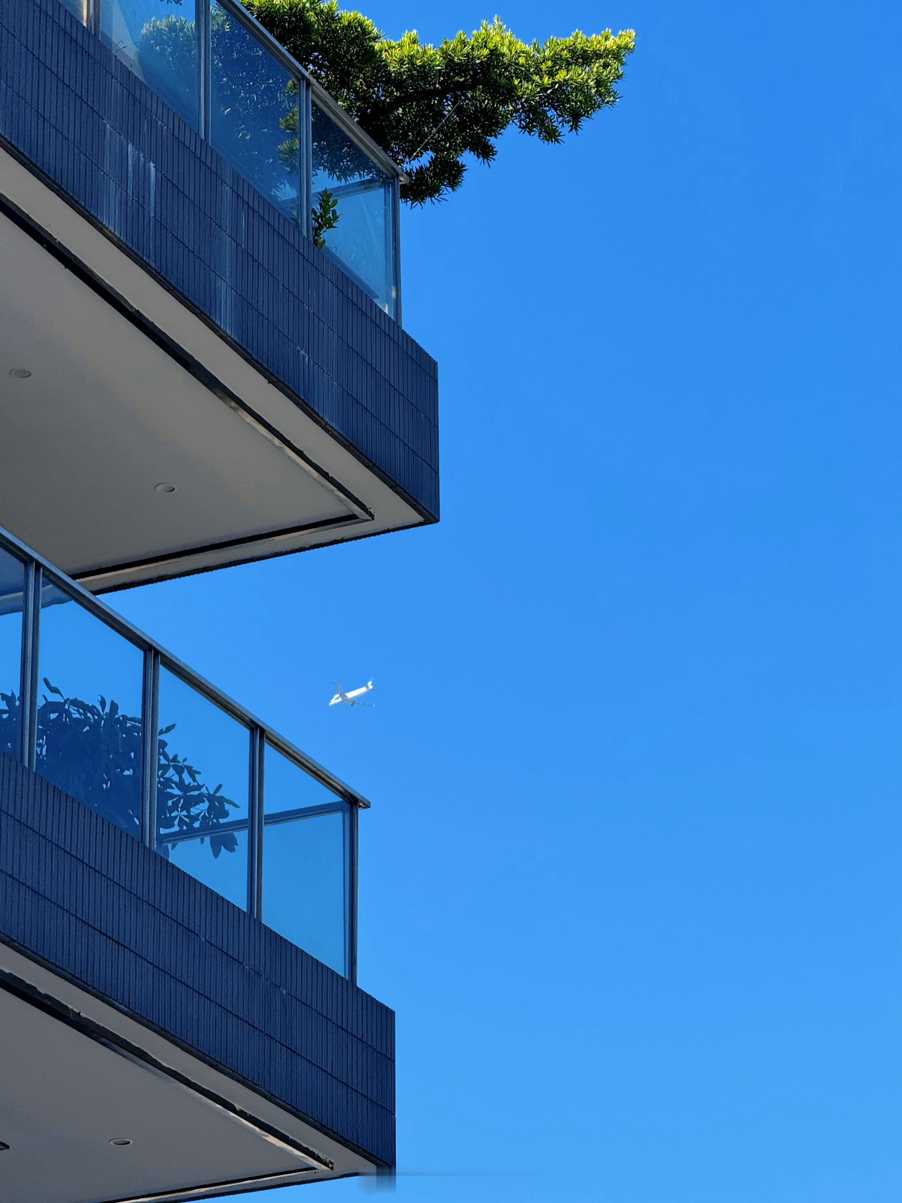 光合作用一下，慢摇5km舒坦～😎