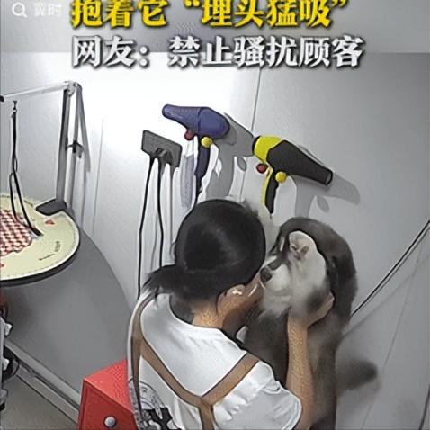 “绷不住了！”吉林一女子洗完顾客的小狗后，觉得它太可爱了，就抱着它“埋头猛吸”，