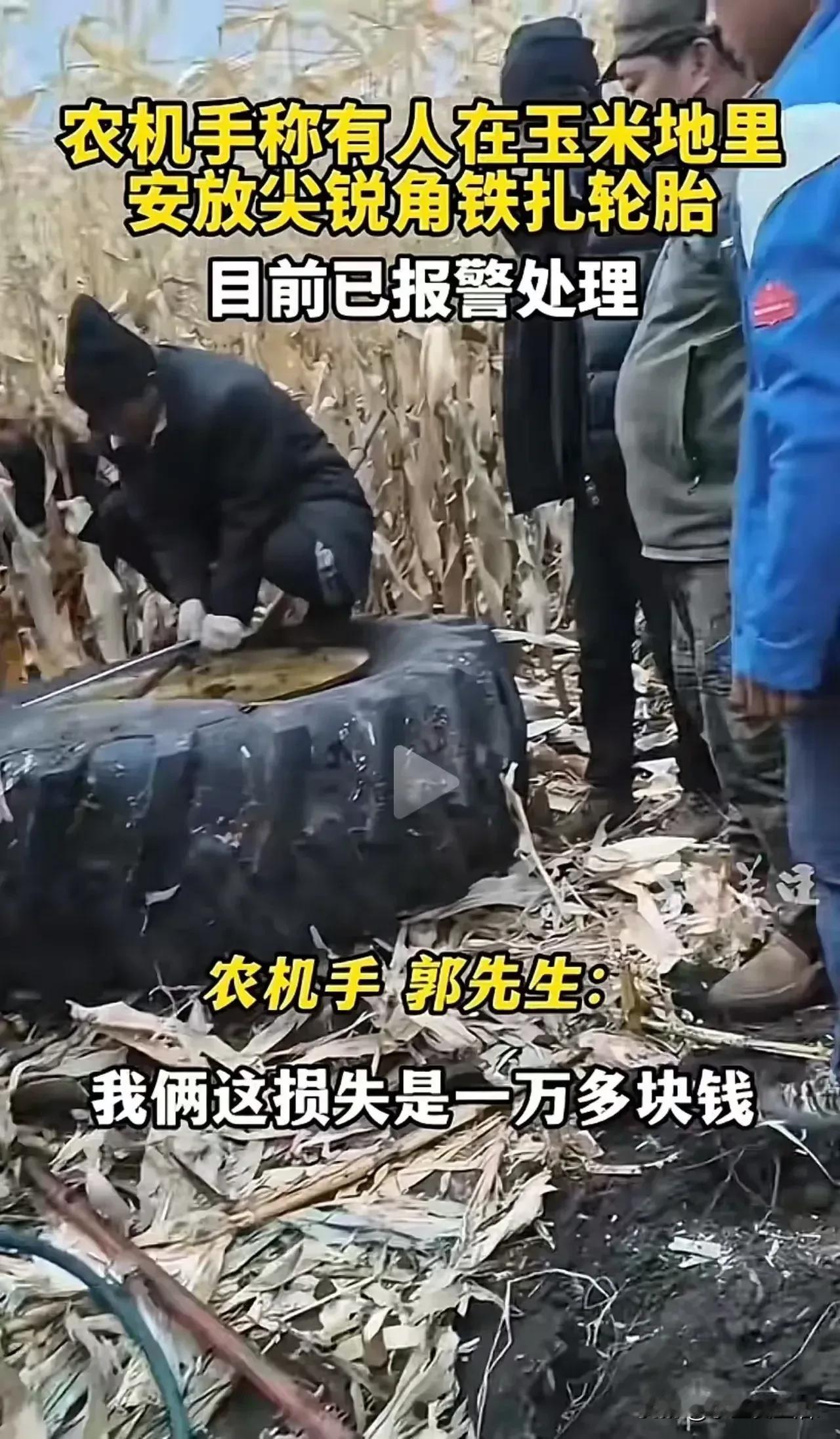 哎呀，您听听这事儿，真是太过分啦！在黑龙江哈尔滨，有件让人特别气愤的事儿！

有