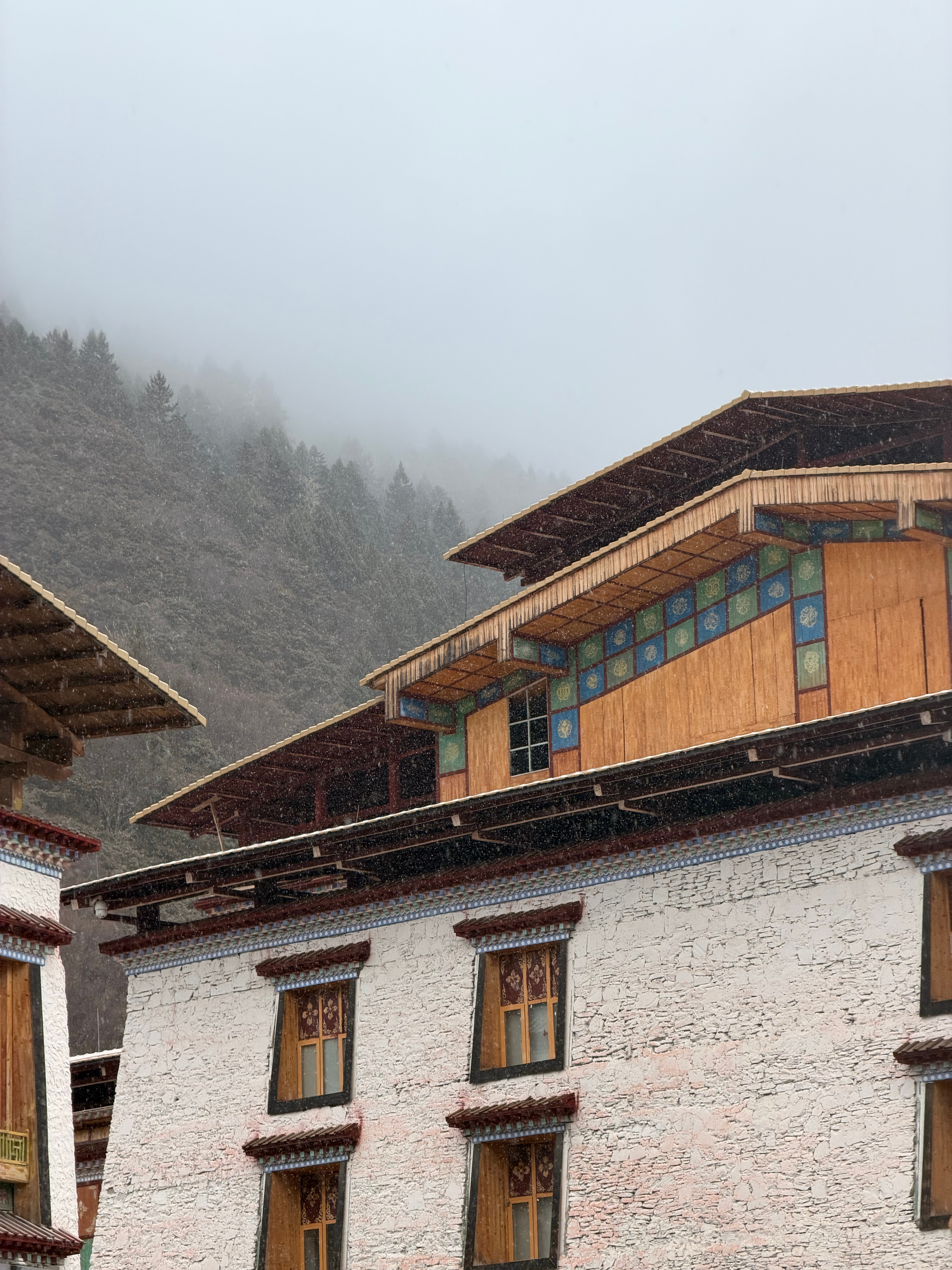 下雪了… 林芝·鲁朗国际旅游小镇