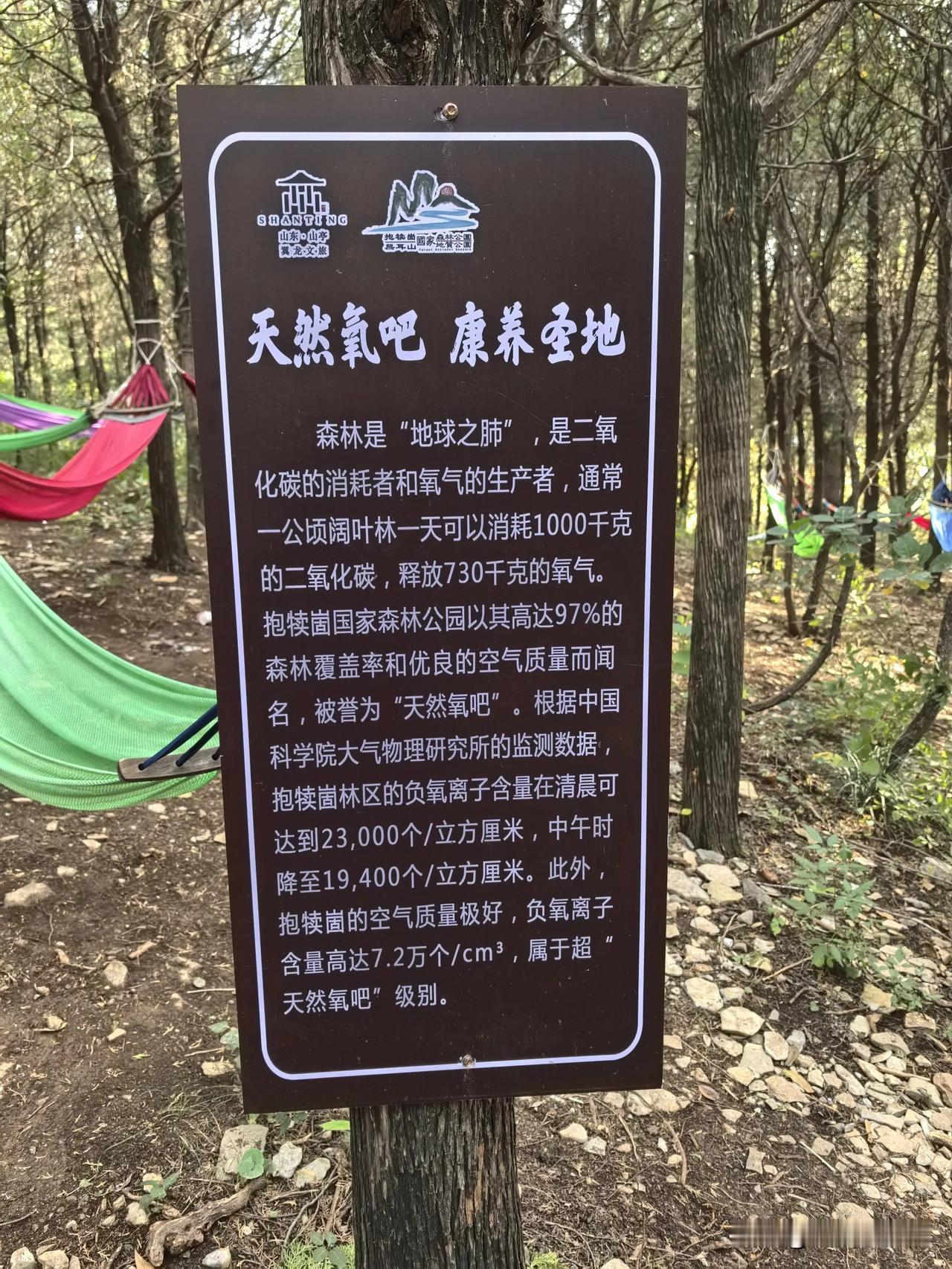 #秋日生活打卡季#
枣庄抱犊崮森林疗养区
免费吊床，免费疗养，景区这个举措深受欢