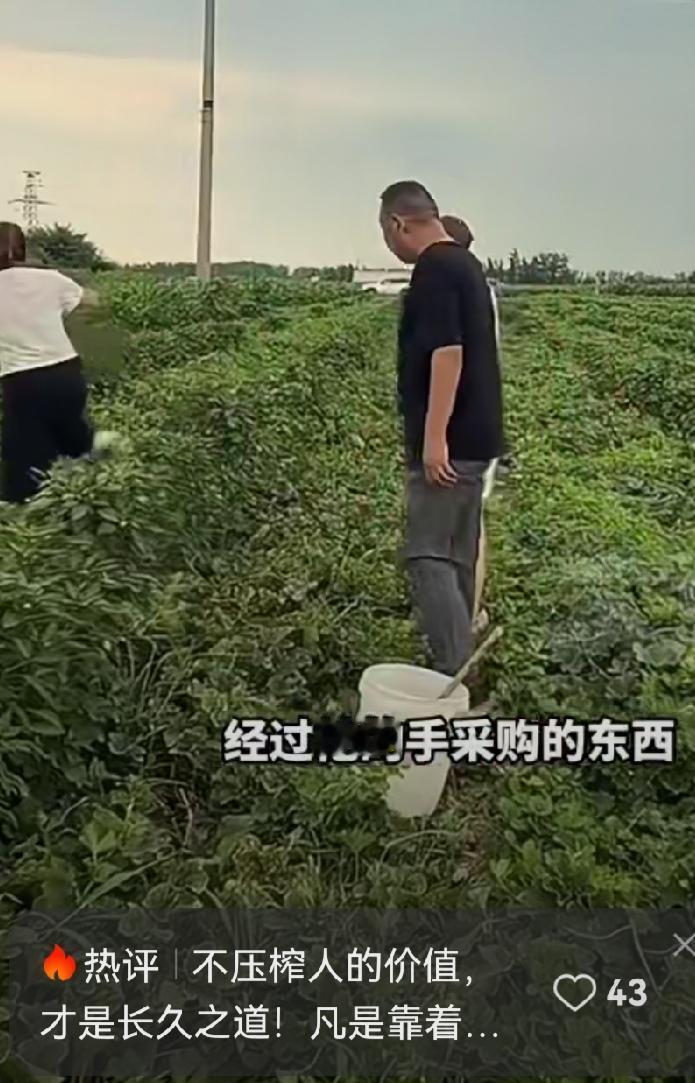 《一块钱的良心》

河南漯河，有个种瓜的老乡，蹲在瓜棚底下，汗珠子顺着脸往下淌。