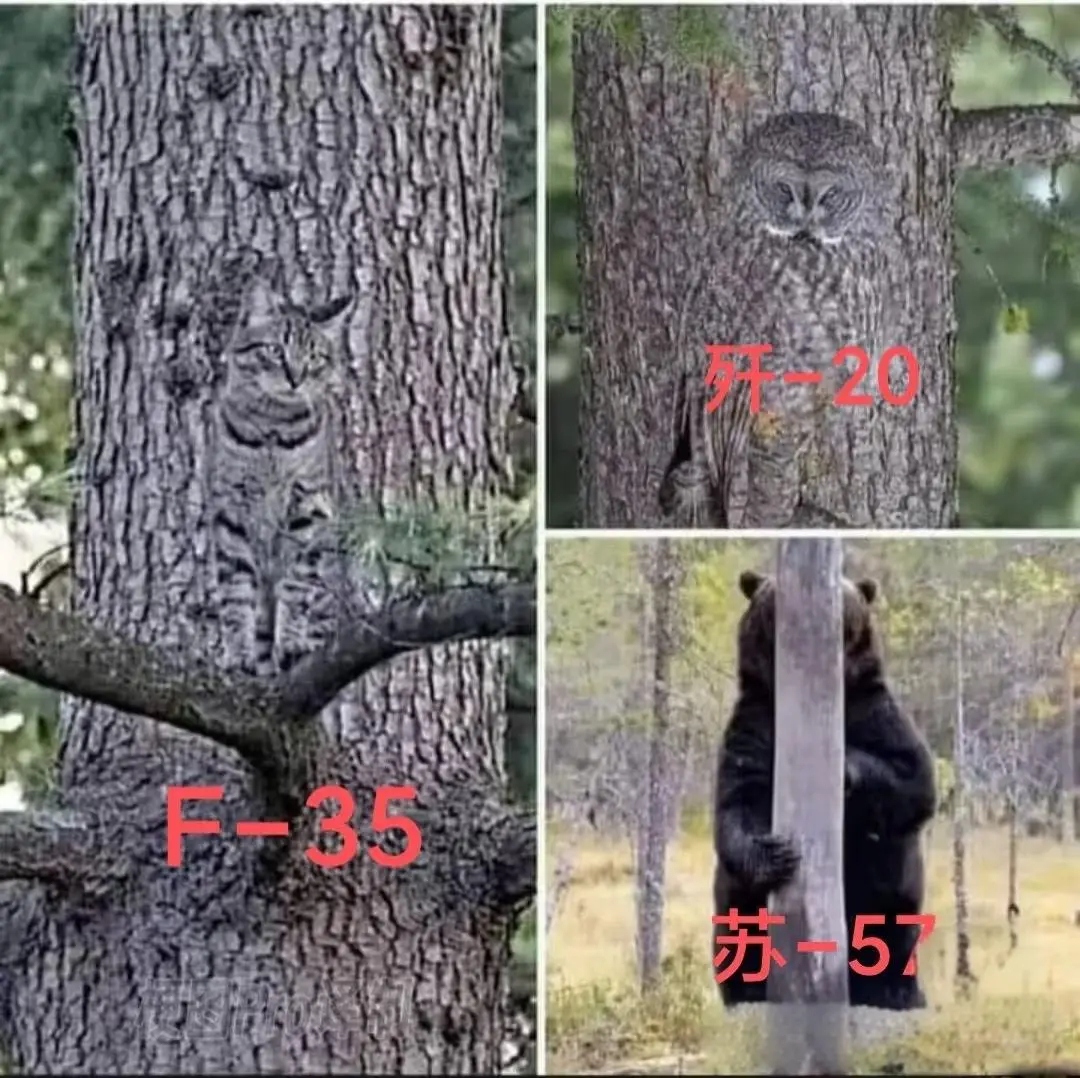 这个太好了，想来想去都没有想到居然可以用这种方法表达清楚，这太有创意了。 