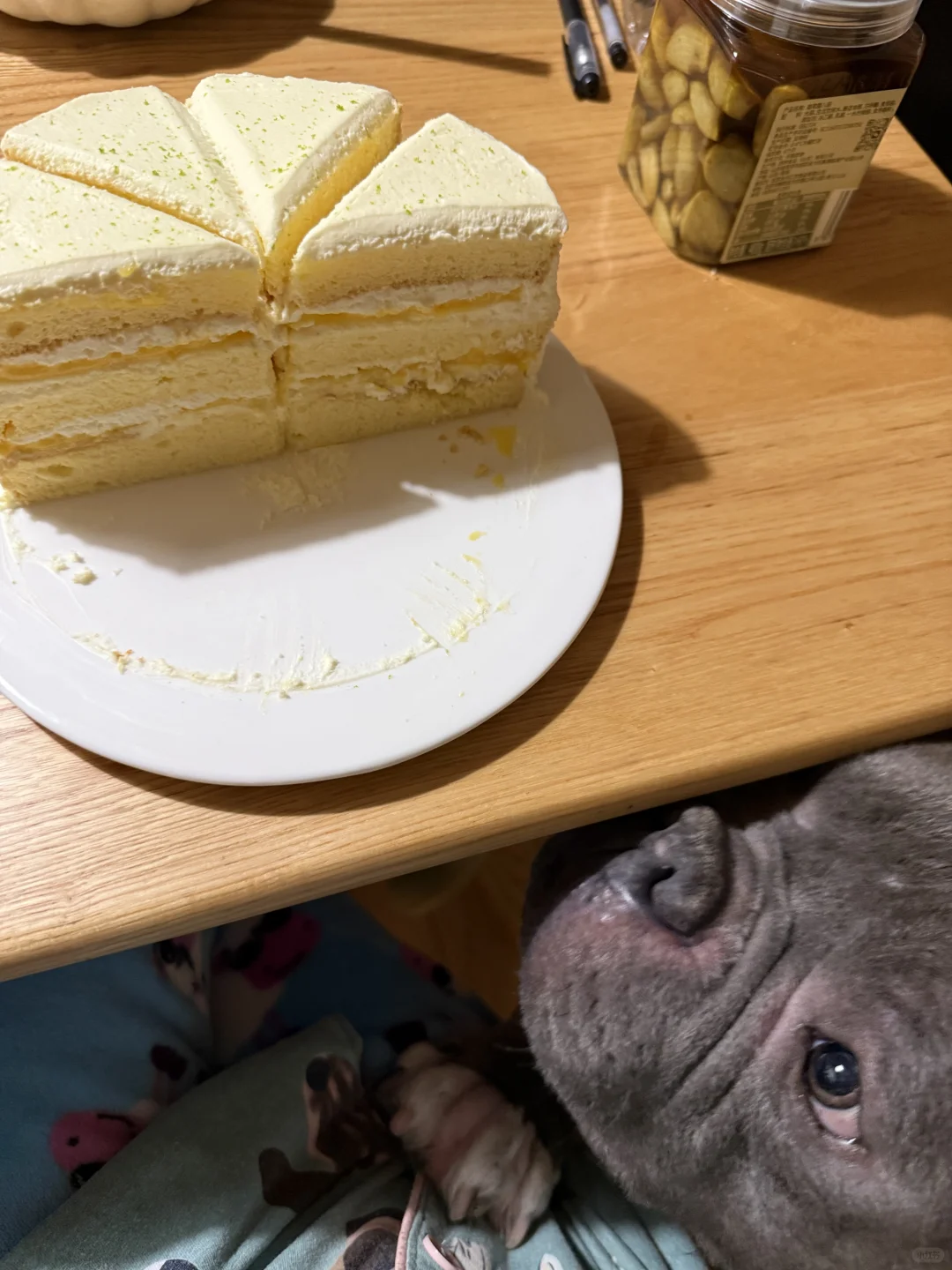 想吃蛋糕的小狗🐶