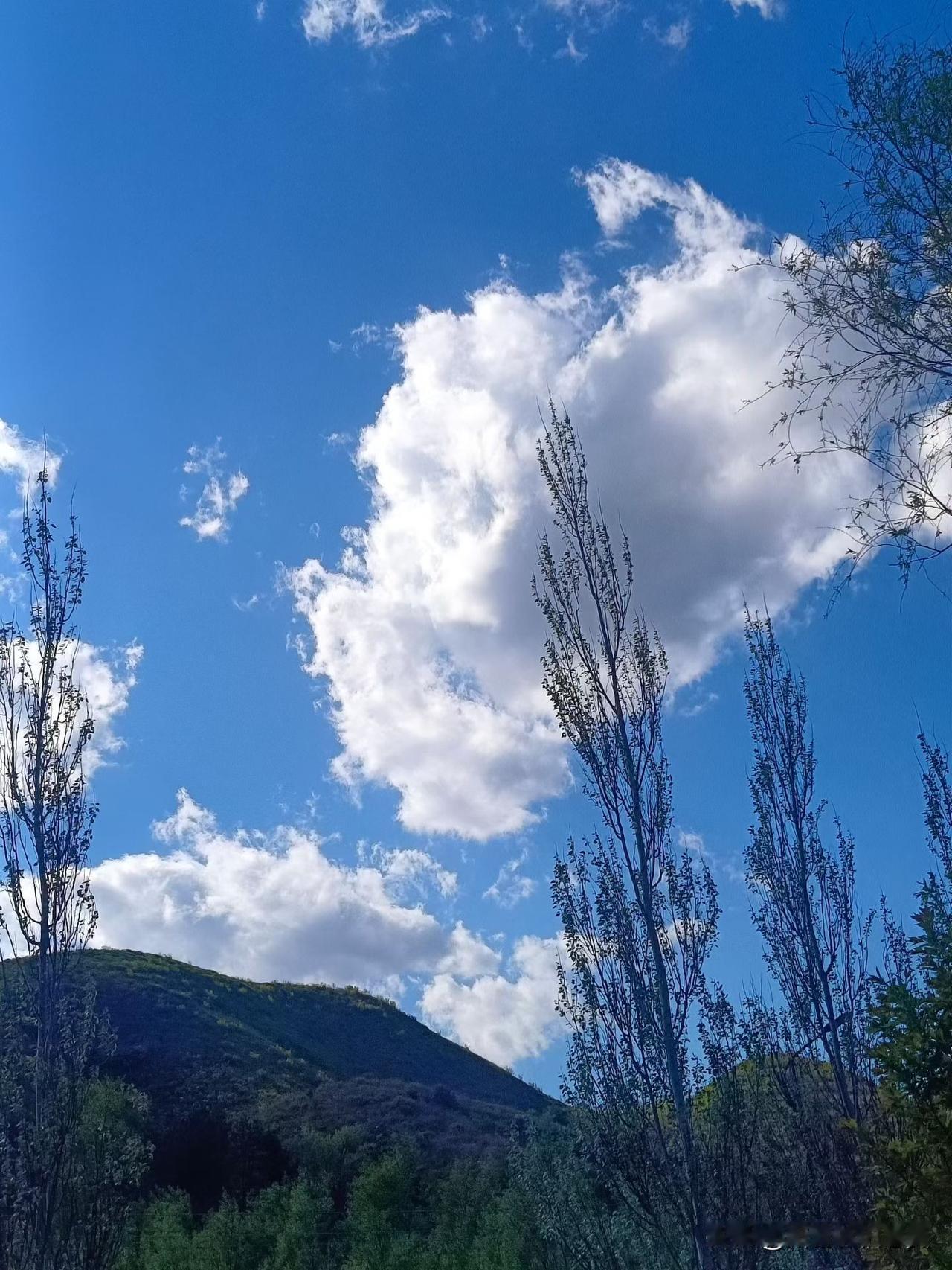 可以分享一张你拍的天空美照吗