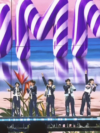 一路向海的少年五椰报到人手一证、整整齐齐，这份仪式感也是太哇撒了，相信这次海岛之
