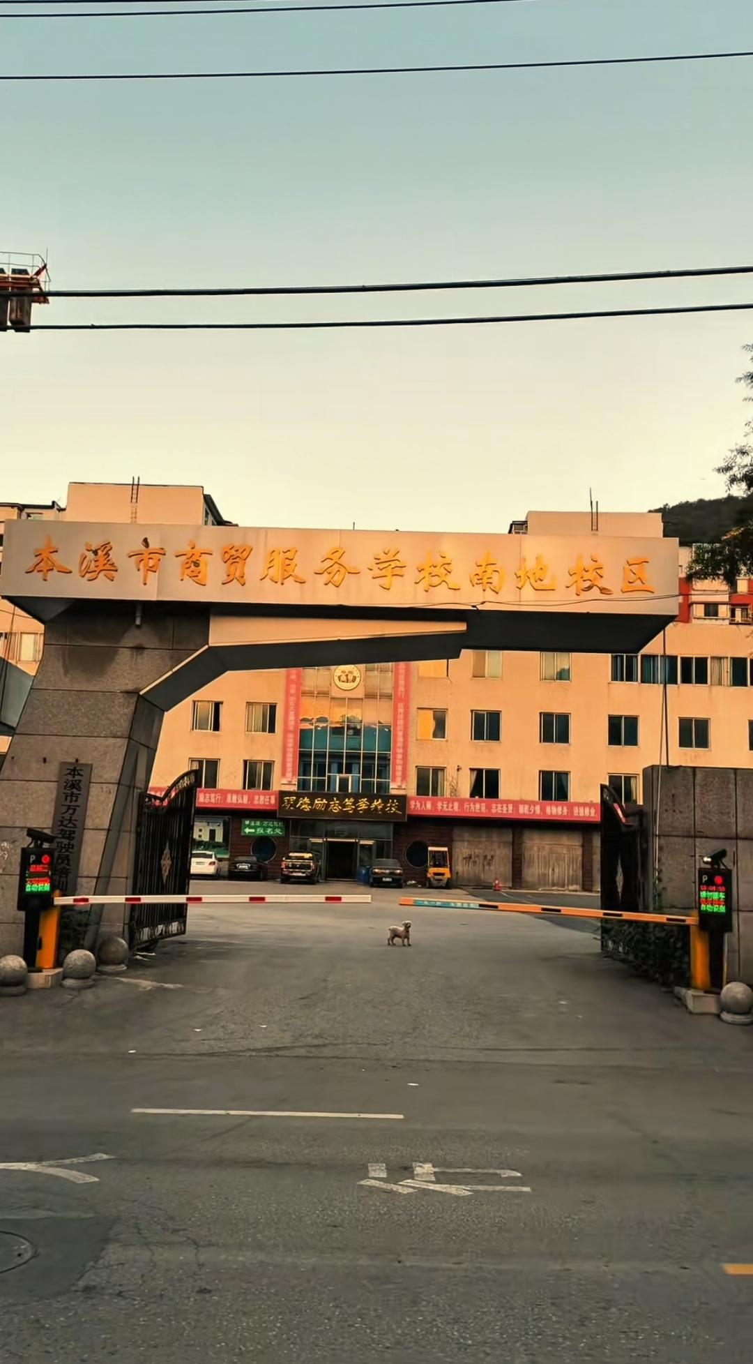 本溪的年轻人确实也太少了，这也是本溪发展速度一般的主要原因。具体来说本溪年轻人少
