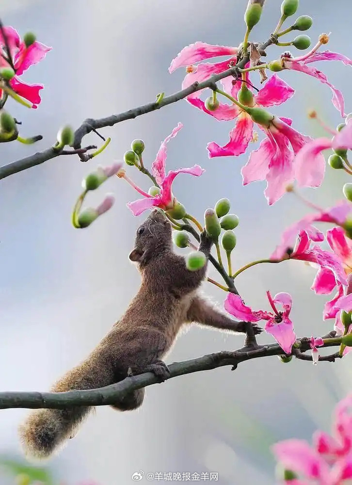 看似平常的生活片段里，往往藏着最本真的美好。多一份对周遭的好奇，便多一双发现美好
