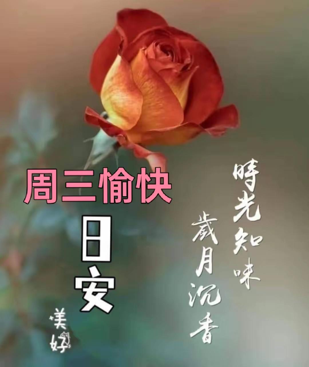 周三暖心早安｜守住健康与好心态，便是人间好时节
早上好☀️
身体好，才拥有生活的