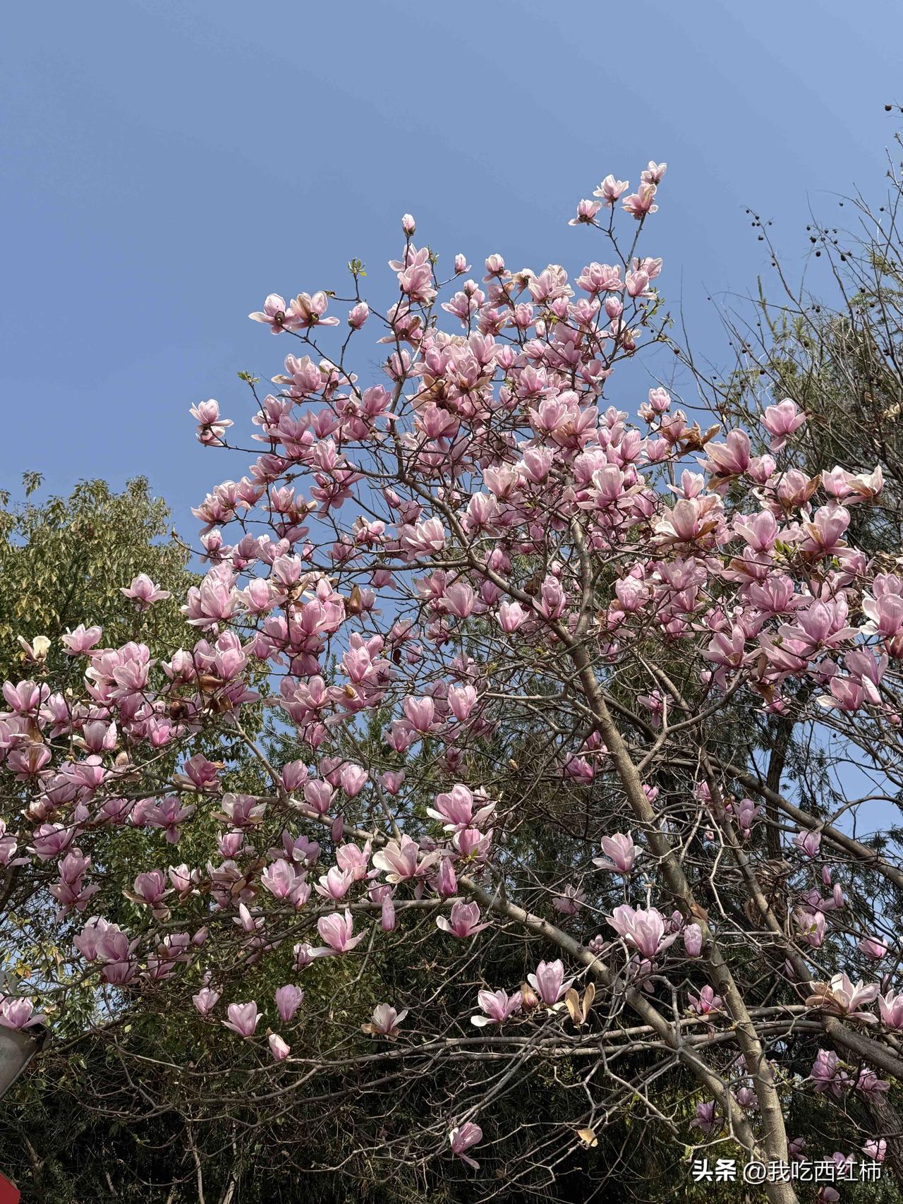现实中一直不结婚生子的女生真的很少
96年 迎来了自己的30岁
坐标广州 老家江