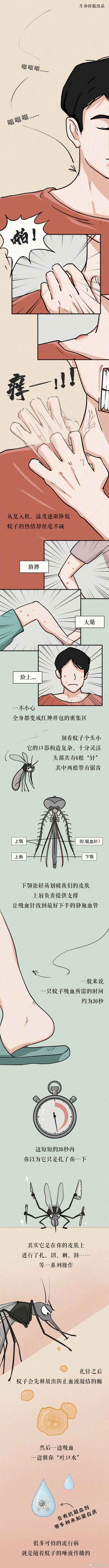 佛山2公园投放5200尾灭蚊鱼【被蚊子咬了要警惕痒之外的症状】蚊子叮咬猎物时会释