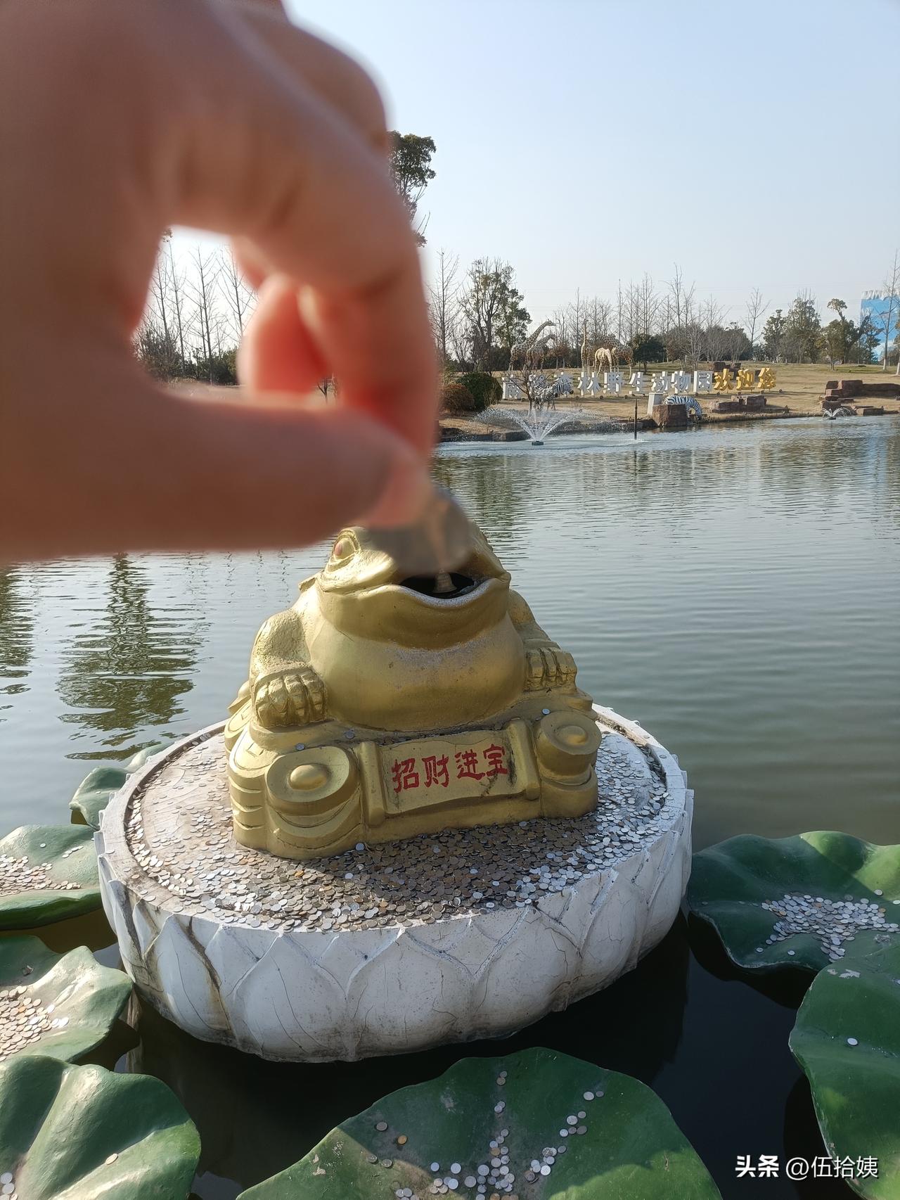 我家老同志，在没有和我商量的前提下，邀请了三个同事家庭，周日来我家吃饭，有点生气