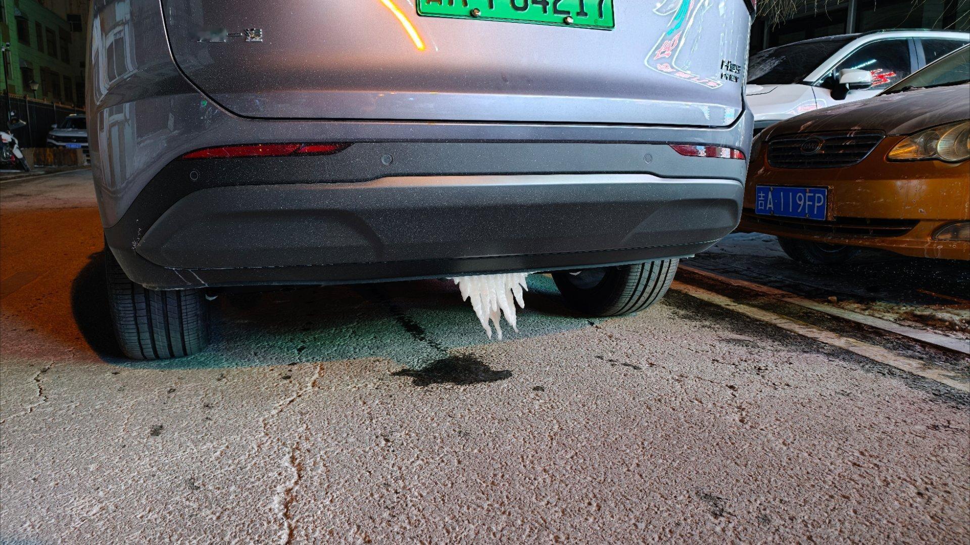 绿牌车的浪漫有木有！这什么造型！ 长春