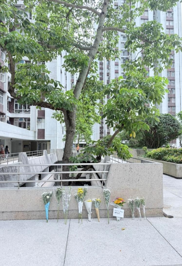 香港太古城一对母女于昨日（10日）早上和夜晚先后坠楼死亡，让人心疼。涉事的12岁