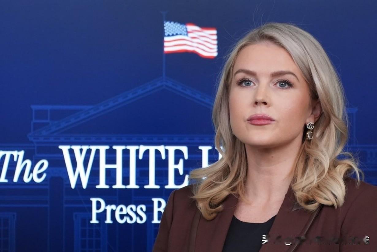 莱维特要求参议院共和党人：废除阻挠议事

白宫新闻秘书卡罗琳·莱维特在接受采访时