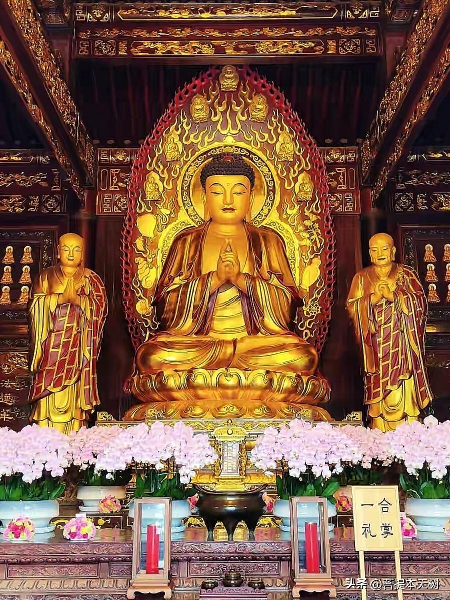 西安大慈恩寺大雄宝殿｜毗卢遮那佛
很多人到大雁塔直奔登塔，常常忽略大雄宝殿这一组