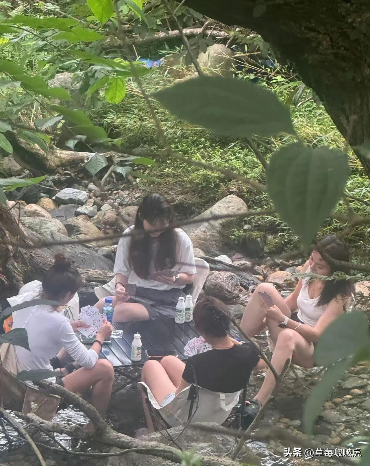 不是，在这样的地方野餐，你们是怎么做到不怕蚊虫的！[捂脸][捂脸]