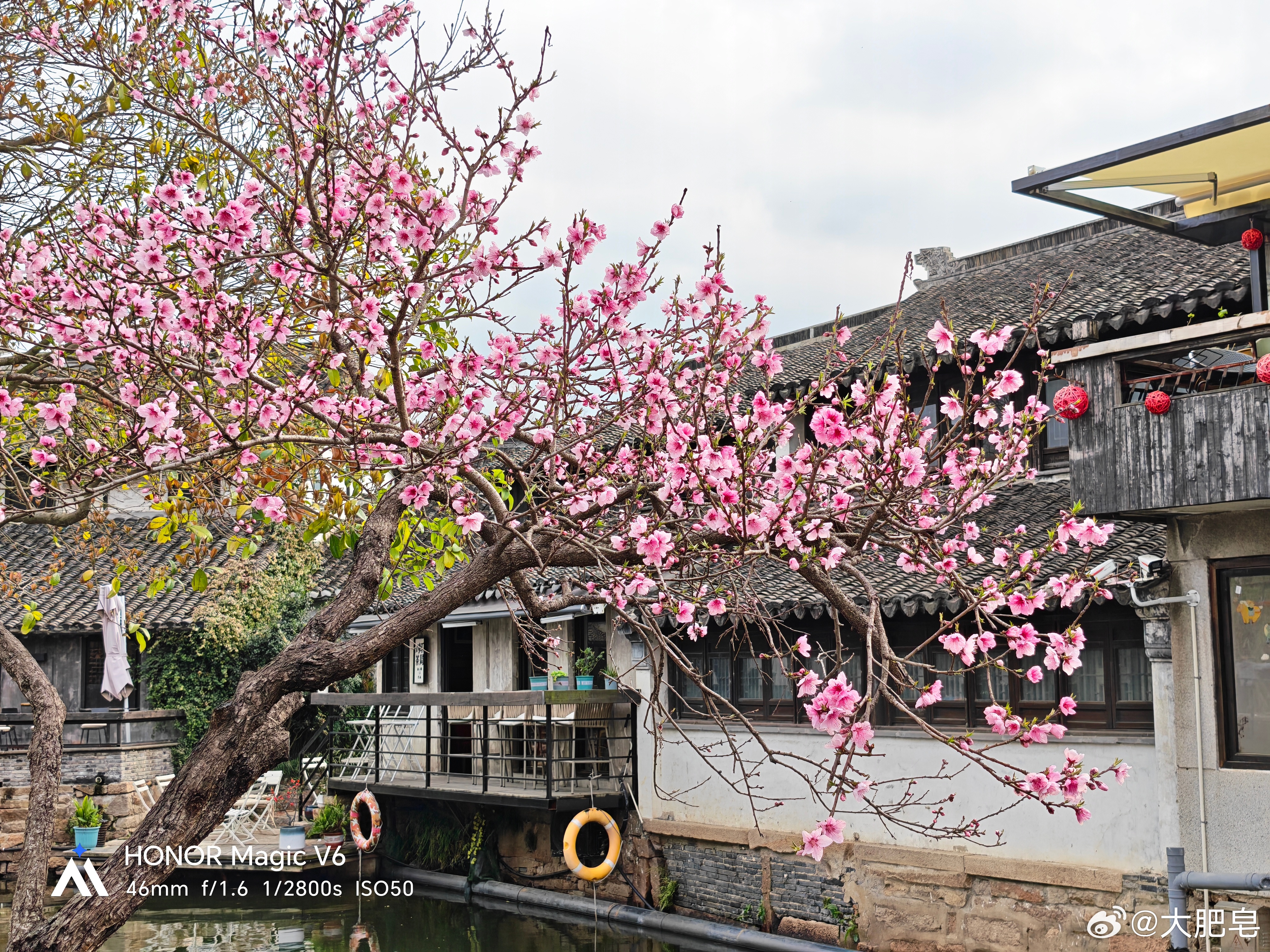 荣耀Magic V6这手机拍照真的可以，你看这个色彩还原，我觉得它和肉眼所见的表