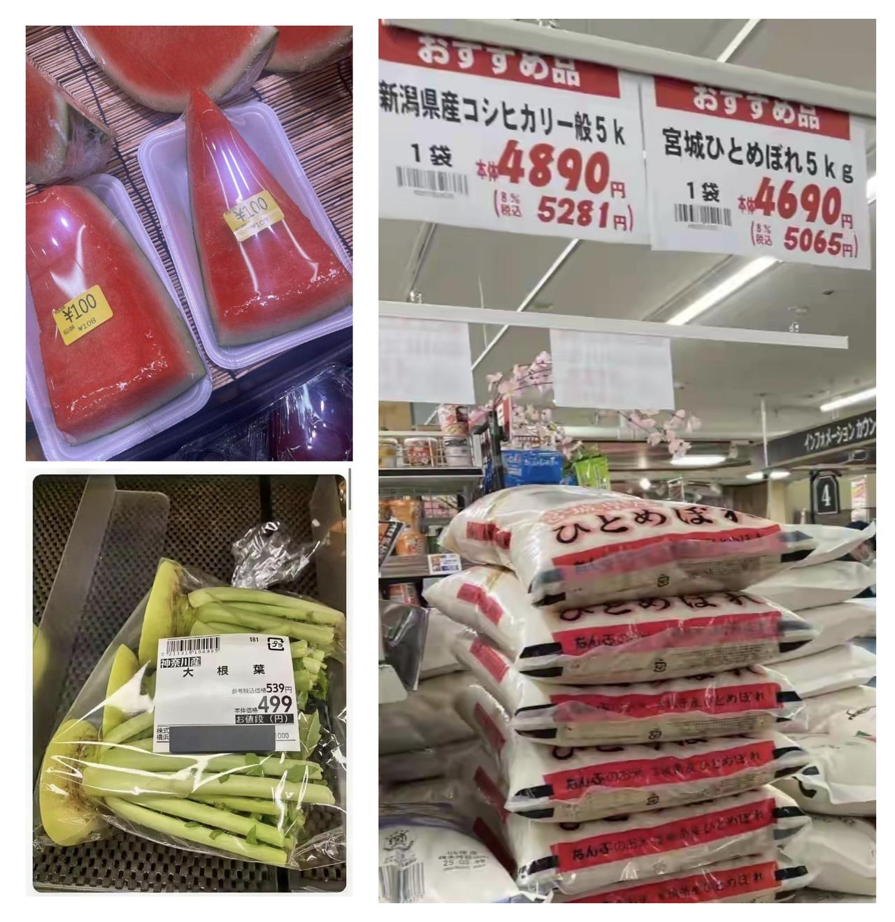 ✨要下定决心对日本去工业化✨

🐼 日本是最不配工业化的国家，国土面积狭小，地