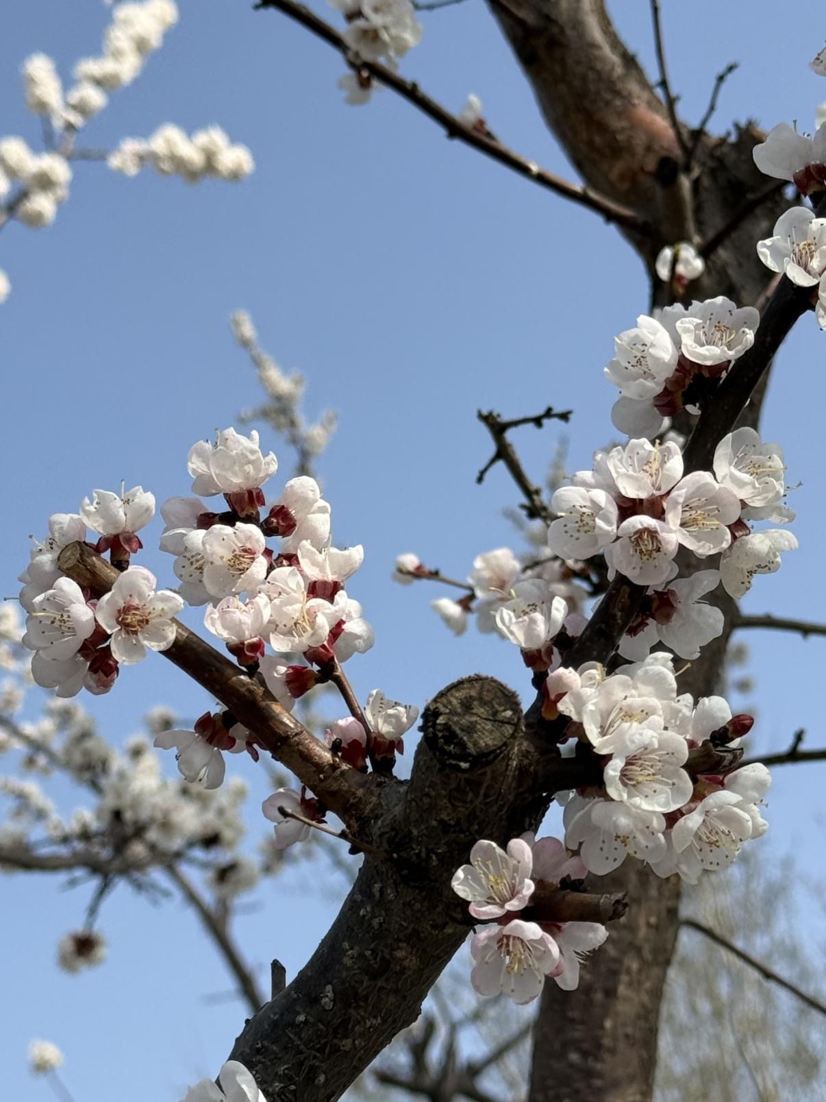 我的今日状态：😁轻松愉快
我这里的天气：☀️晴天
