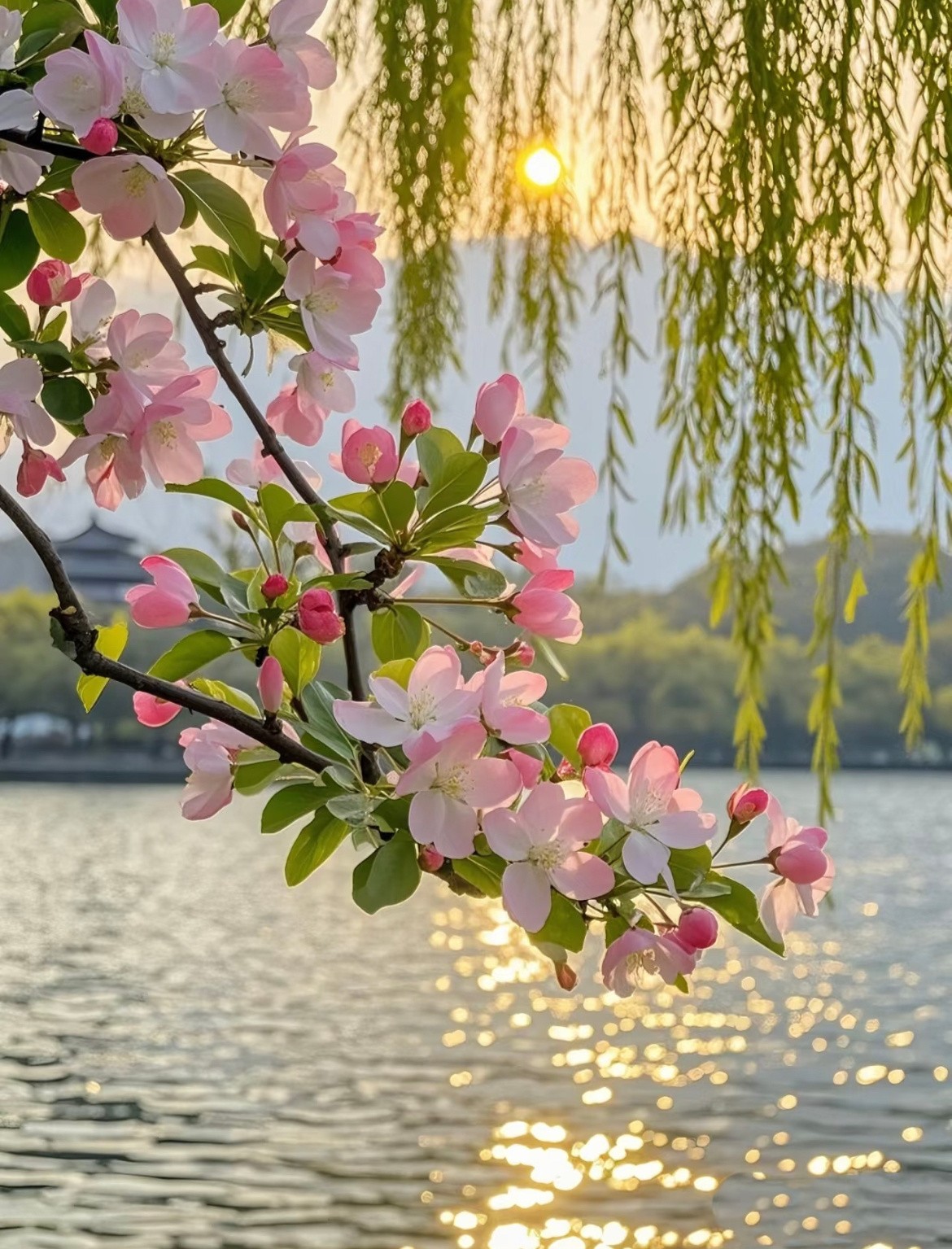 妇女节今天女神节：愿你的高跟鞋踏响星辰，平底鞋丈量山河，无论何种姿态，都是最动人