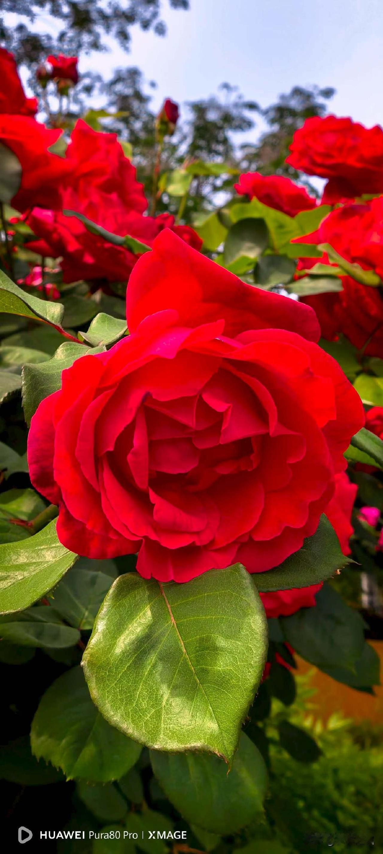 【小对联】
上：辞海；
下：……？