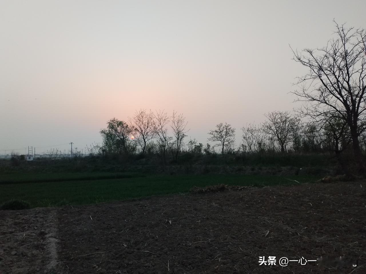人间四月的农村田间风景，冬小麦绿油油的一片，田野大地的落日余晖，平静充满希望，充