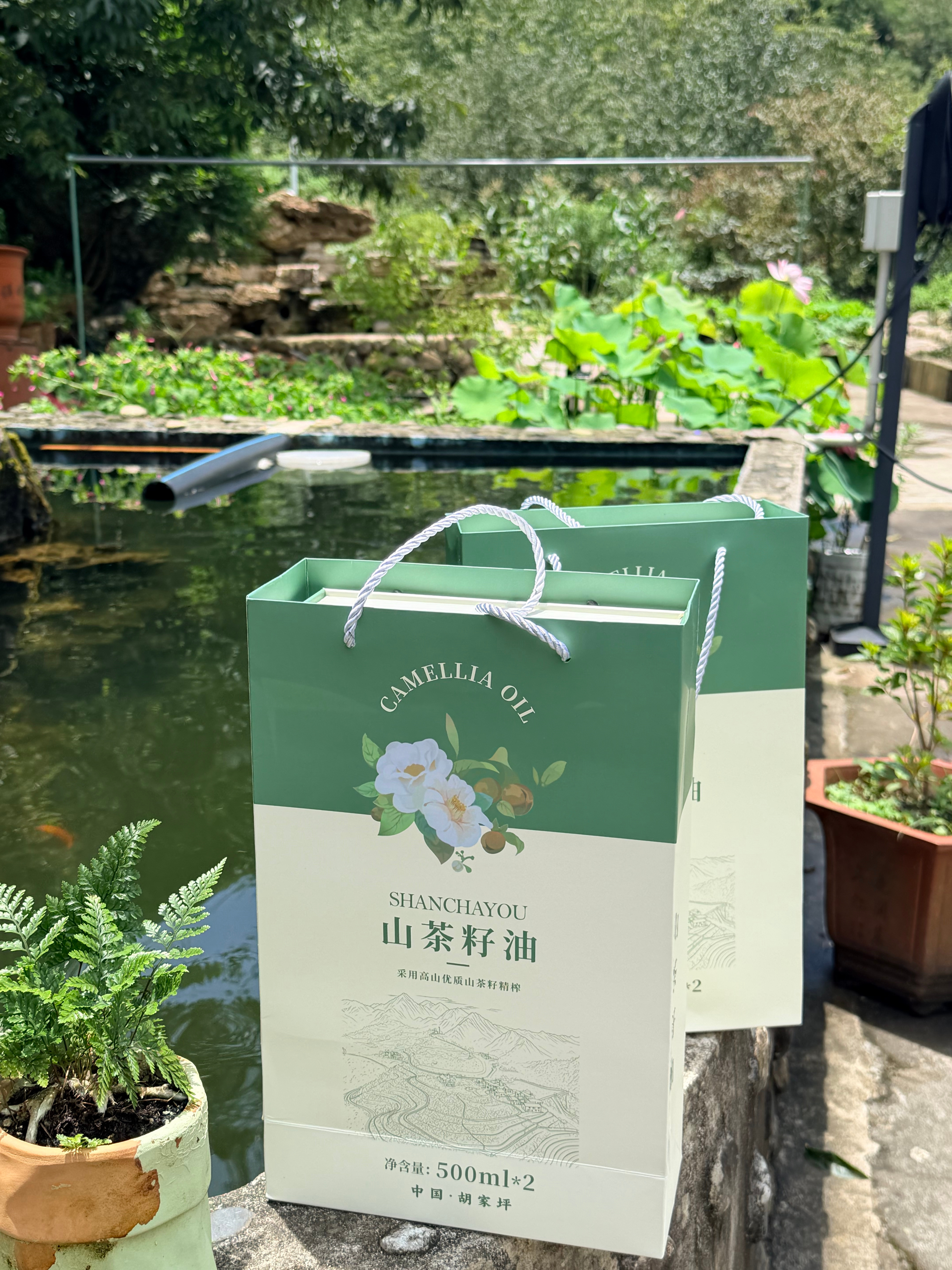 我们村的山茶籽油。 有好这口的可以找我妈买包装也很漂亮 。 胡家坪 是我们上面的