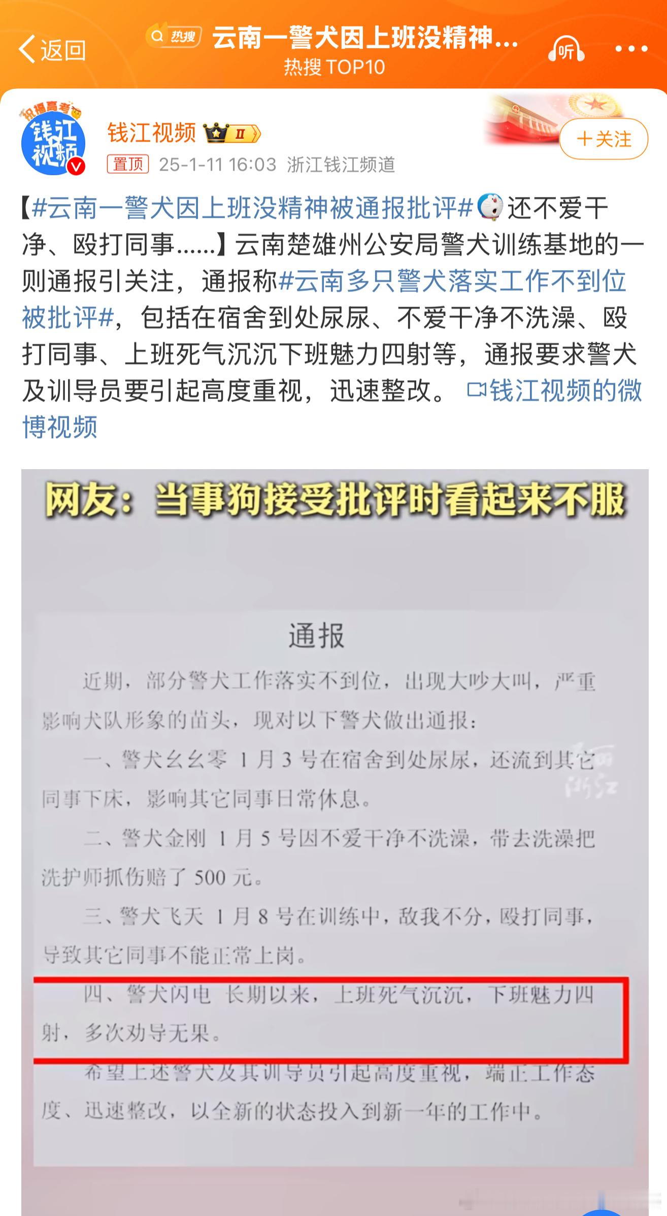 云南一警犬因上班没精神被通报批评 笑死我了，不知道它会不会改正？上班死气沉沉下班