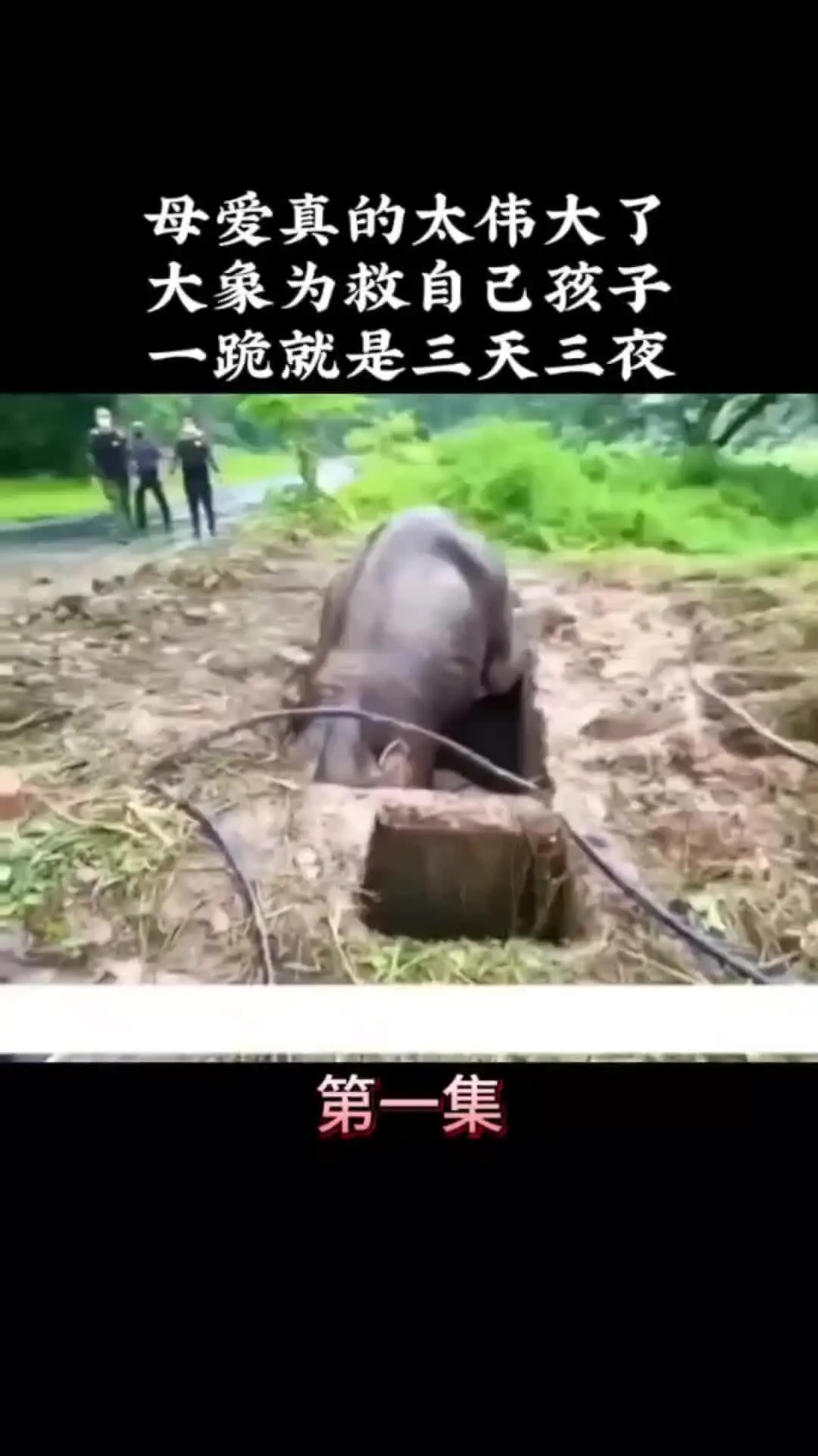 我的观影报告 内容启发搜索 万物皆有灵性