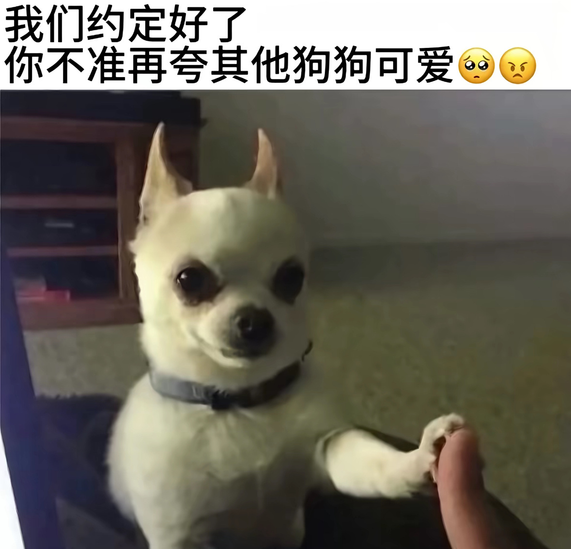他就这样 