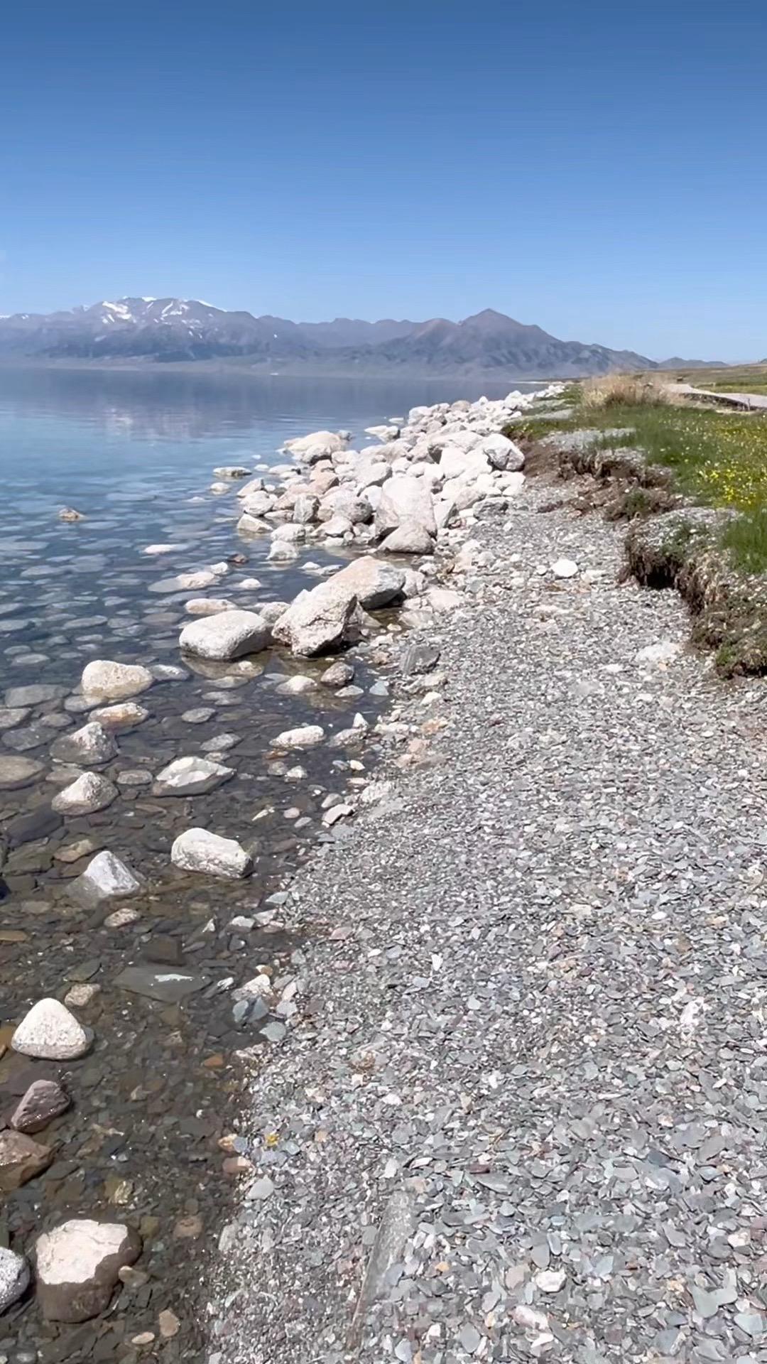 孤独是你的宿命，你必须面对它 你从农村和小镇闯荡出来 你抛弃了旧有的秩...