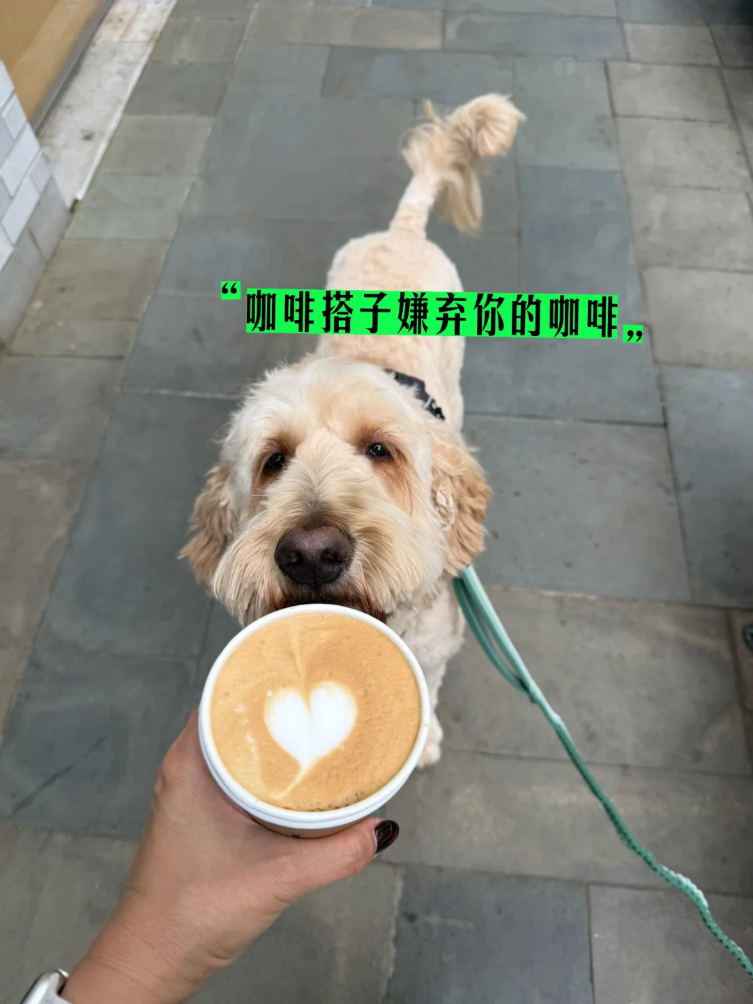 咖啡搭子和健身搭子
