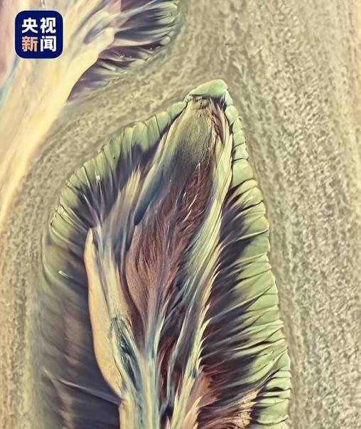 你见过大自然画出来的巨型羽毛么？绝美奇景！航拍视频居然“火到了央视新闻”！
 