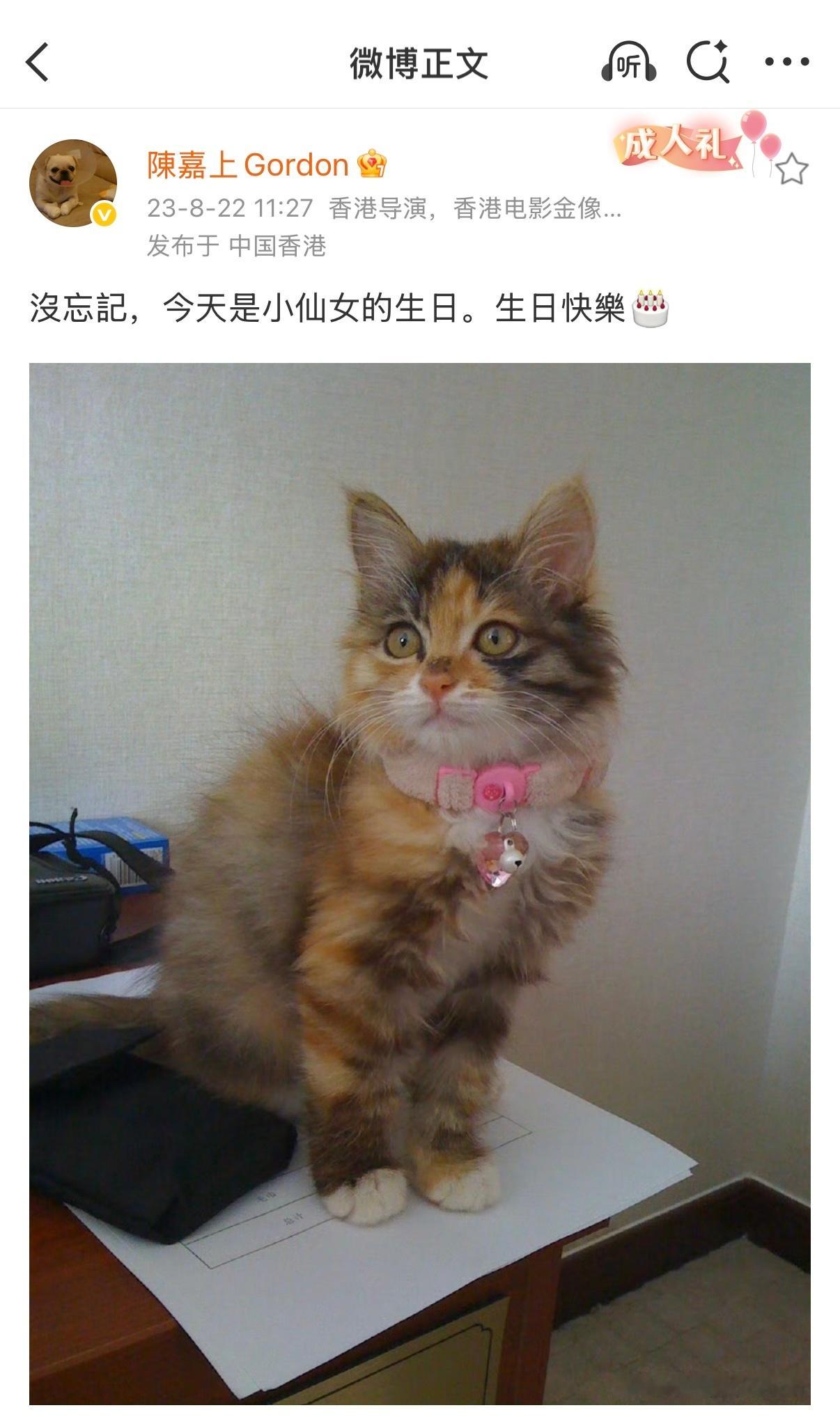 2011-2026我们陈嘉上导演从来没忘记给我们小爽送生日祝福谢谢导演记得我们的