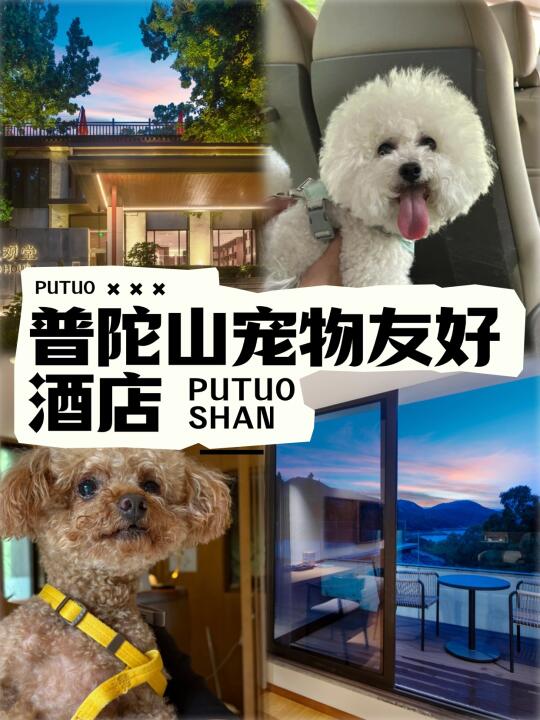 关于普陀山带宠物祈福这块…