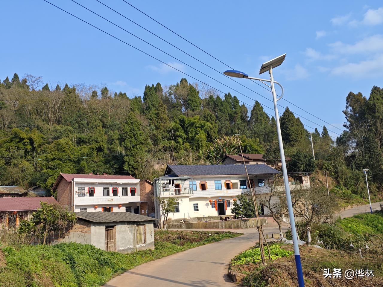 今天得到一个让我非常震惊的消息，我们乡现在改为镇，也就是我们镇上的学校，现在竟然