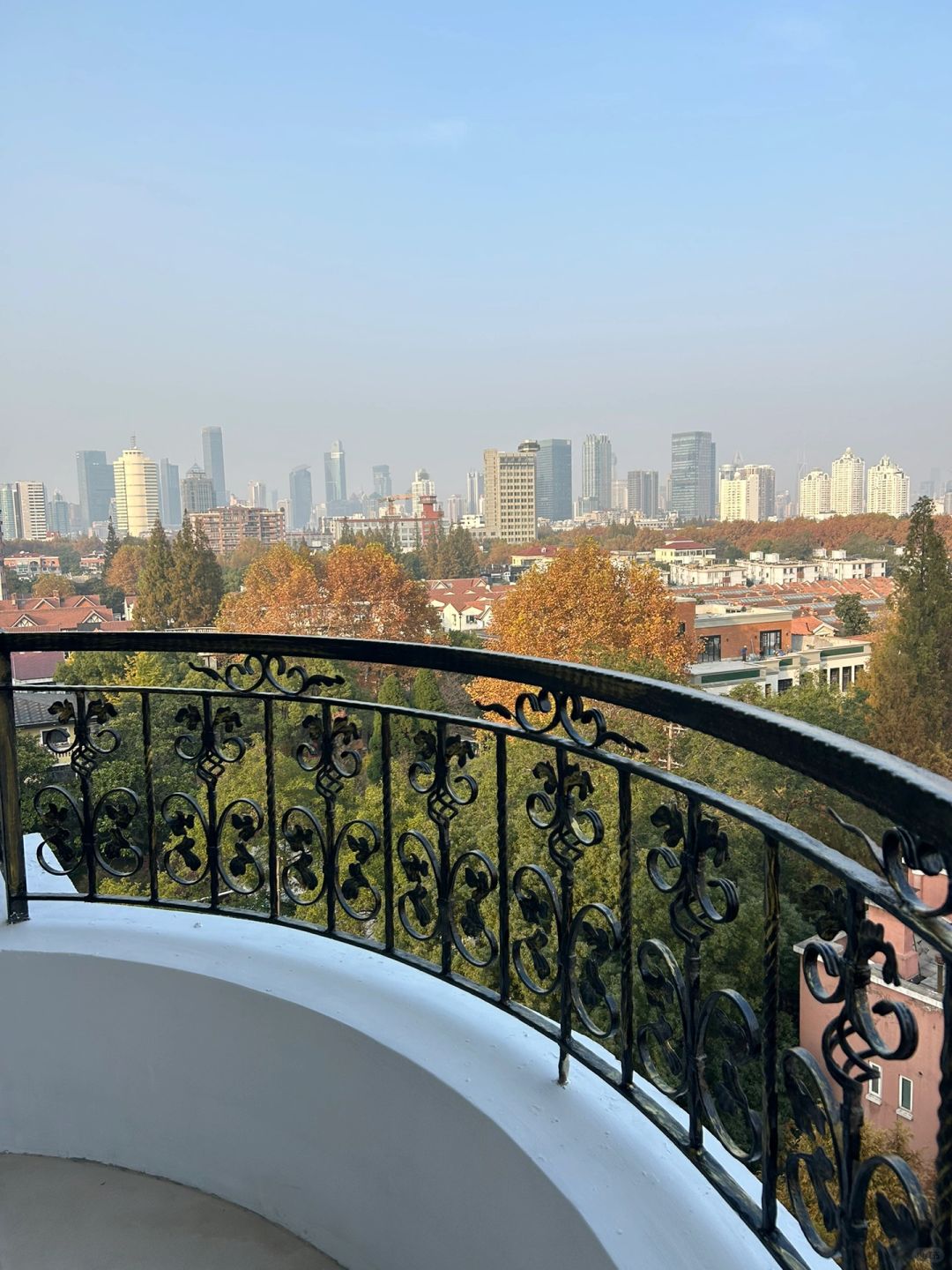 上海的阳台上赏秋🍂