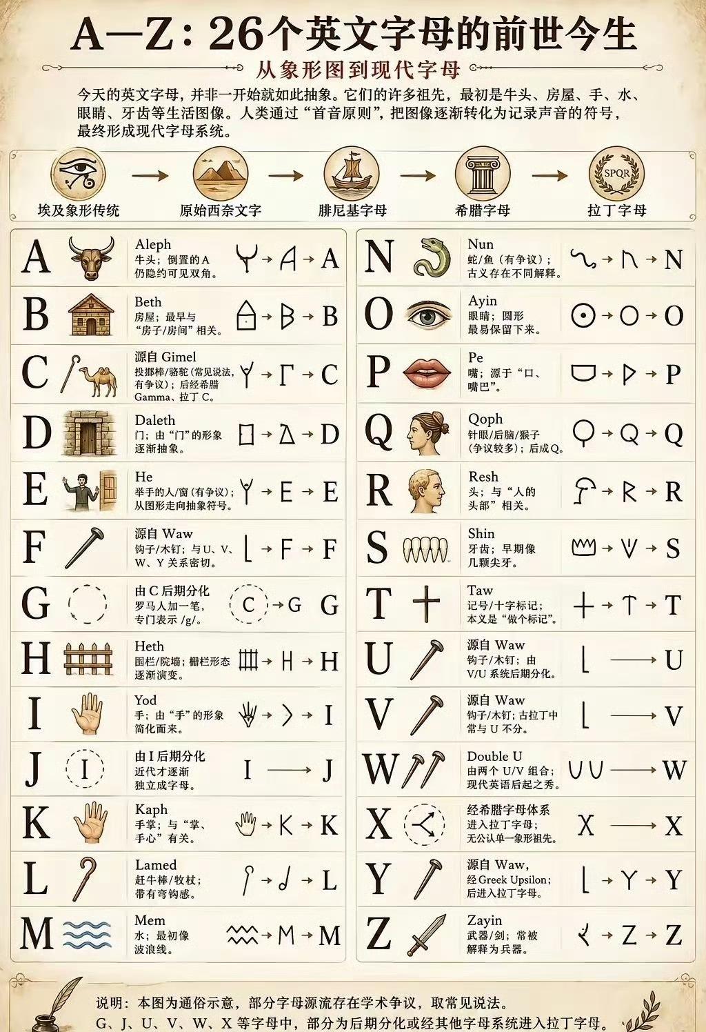 原来26个英文字母最早全是画画！涨知识了📜
我们天天书写的26个英文字母，并不