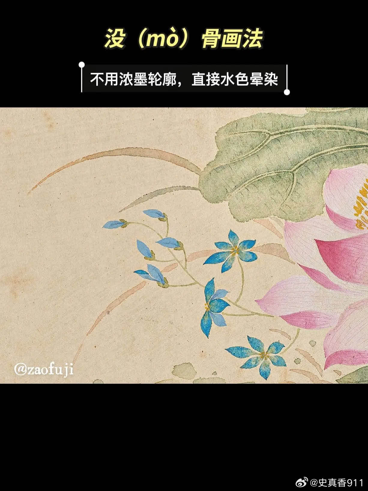 台北故宫藏：《清绵億画花卉册莲花》。先喜欢的这幅画，然后发现作者竟然是五阿哥的儿