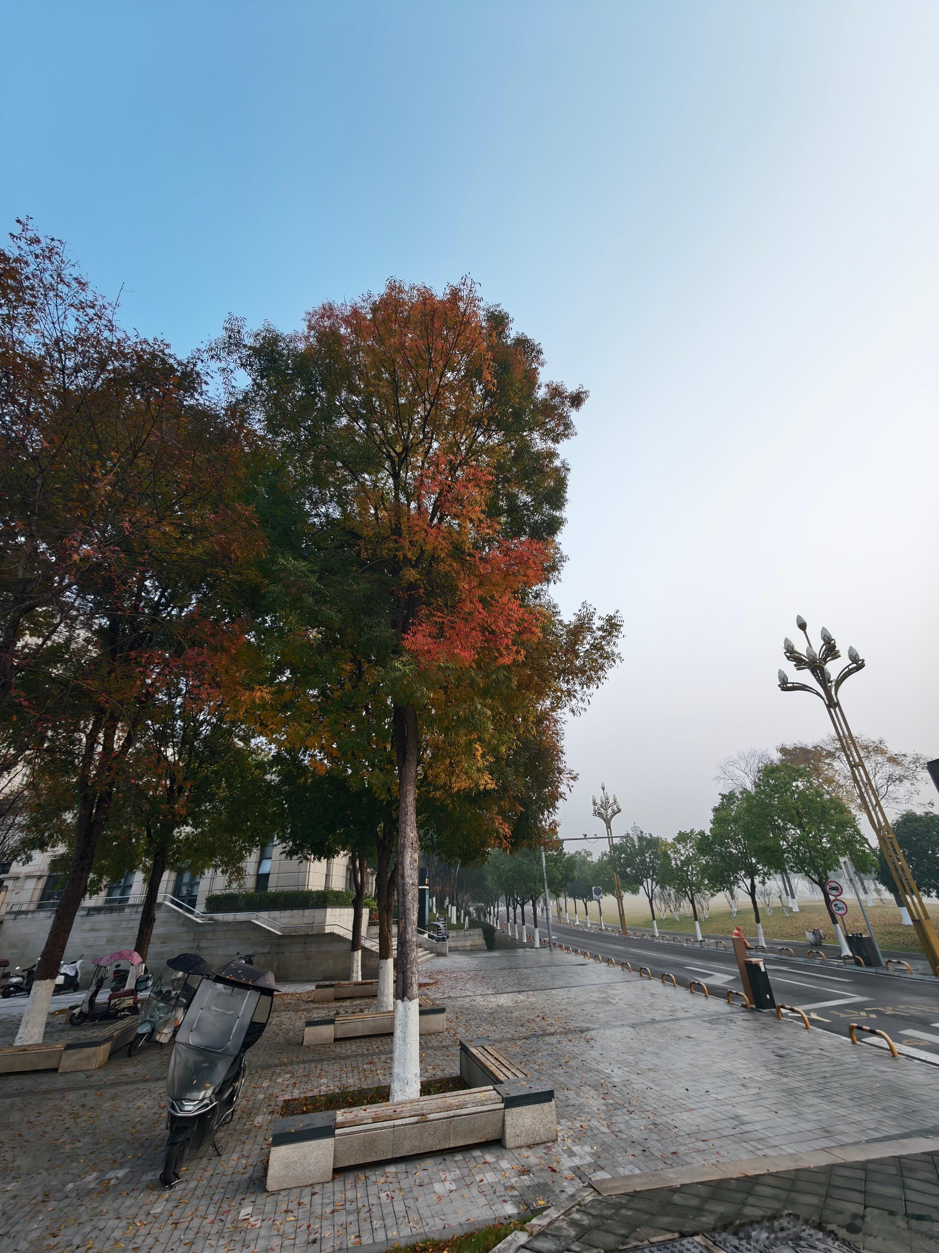 早啊今天周五了估计会有好事发生我与汽车的日常