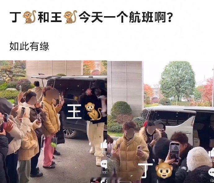 这算是共享粉圈吗 