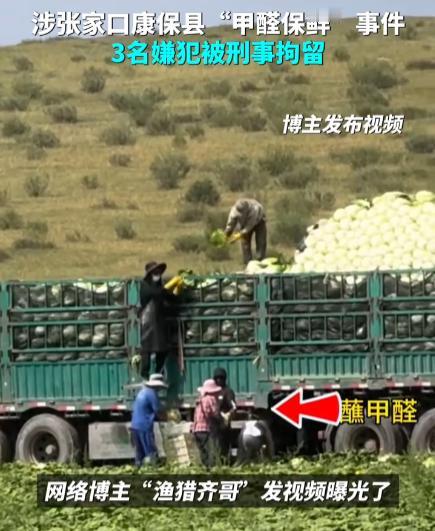 河北康保县，3名男子为了确保长途运输过程中，白菜不容易腐烂、黄叶，竟在装车时给每