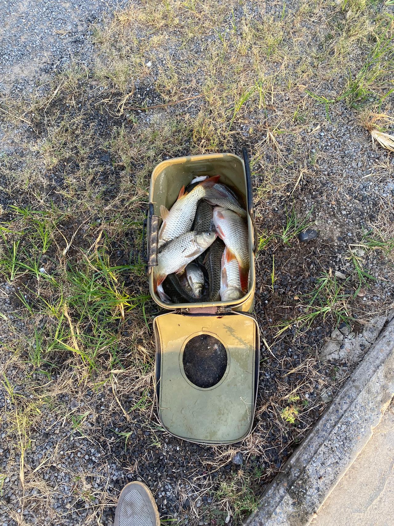 #一句话概括什么是幸福#每天开开心心最幸福
秋天里的第三钓(2024年9月13日